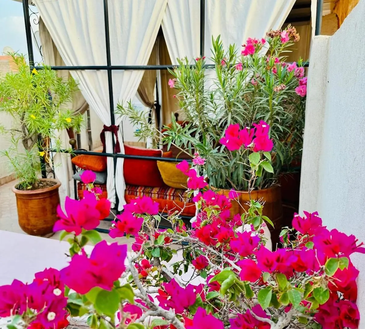 Superbe Riad En Exclusivite B&B Marrakesh Morocco